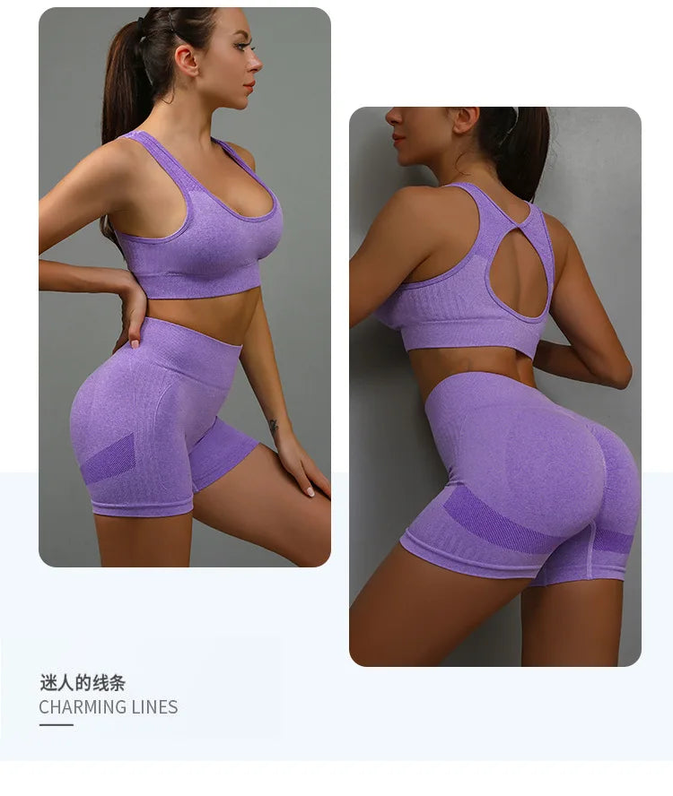 2 Pcs Yoga Set Women Hollow Back Sports Bra+Hip Lifting Sports Shorts Workout Set Seamless Fitness Gym Set Sportswear Tracksuit