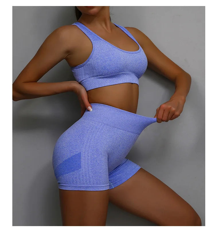 2 Pcs Yoga Set Women Hollow Back Sports Bra+Hip Lifting Sports Shorts Workout Set Seamless Fitness Gym Set Sportswear Tracksuit