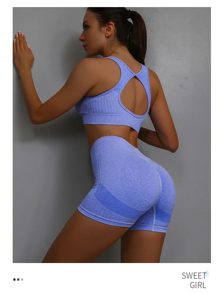 2 Pcs Yoga Set Women Hollow Back Sports Bra+Hip Lifting Sports Shorts Workout Set Seamless Fitness Gym Set Sportswear Tracksuit